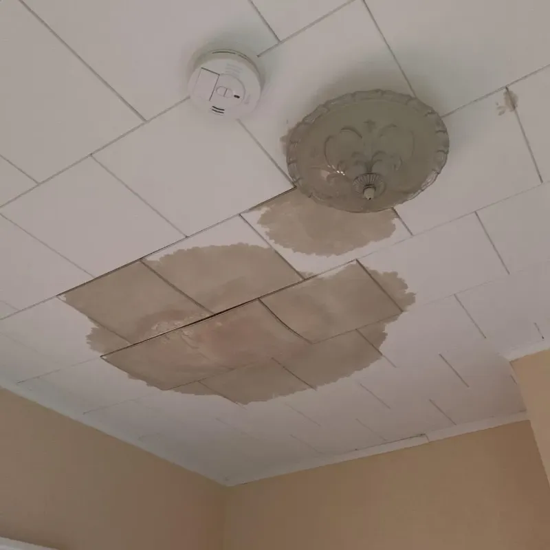 Ceiling Water Damage Repair in Clive, IA