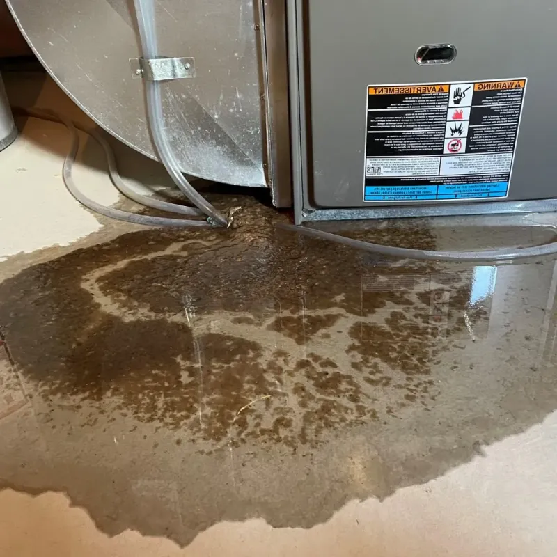 Pipe Burst and Leak Restoration in Clive, IA