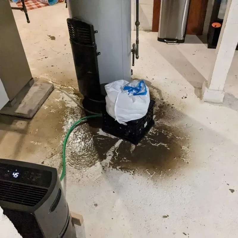 Sewage Backup Cleanup Service in Clive, IA